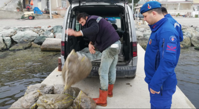 Bursa’da 1.5 ton kaçak midye ele geçirildi