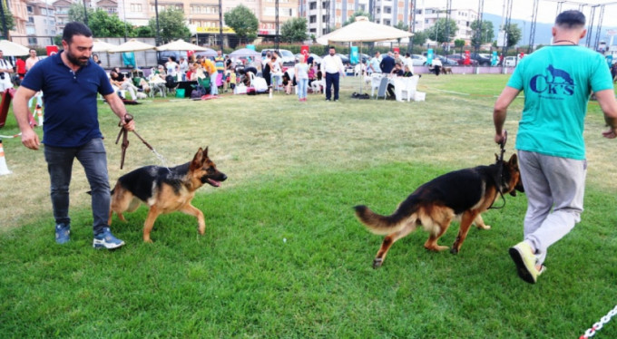 Bursa’da farklı köpek ırkları buluştu