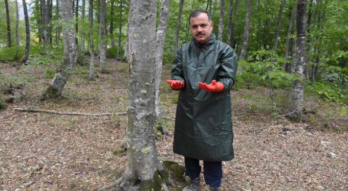 Bursa Orman Bölge Müdürü o iddiaları yalanladı