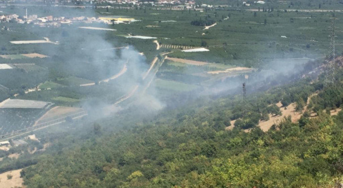 Bursa’da bir orman yangın daha