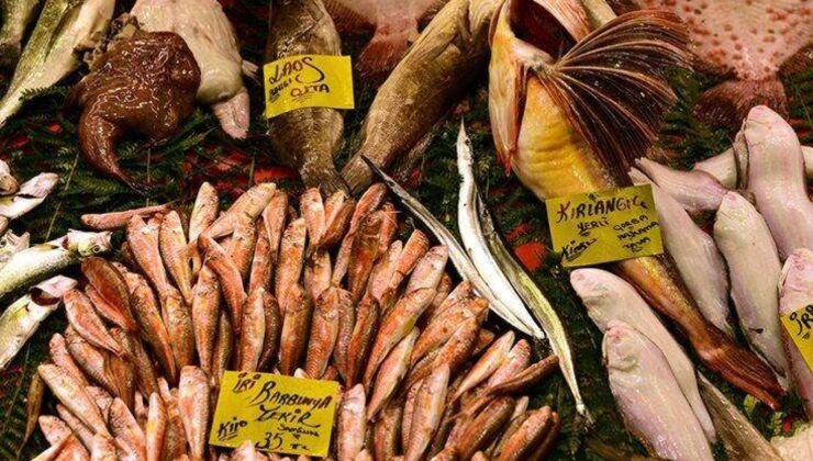 Mart ayında yenecek balıklar nelerdir? Mart ayında hangi balıklar lezzetli olur?