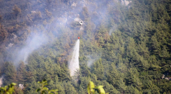 Orman Bakanlığından yangın açıklaması