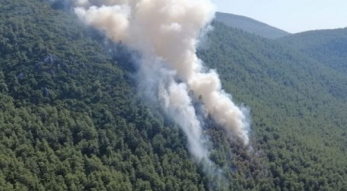 Orman yangınında kundaklama iddiasına tutuklama