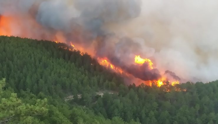 Kütahya’da orman yangını çıktı