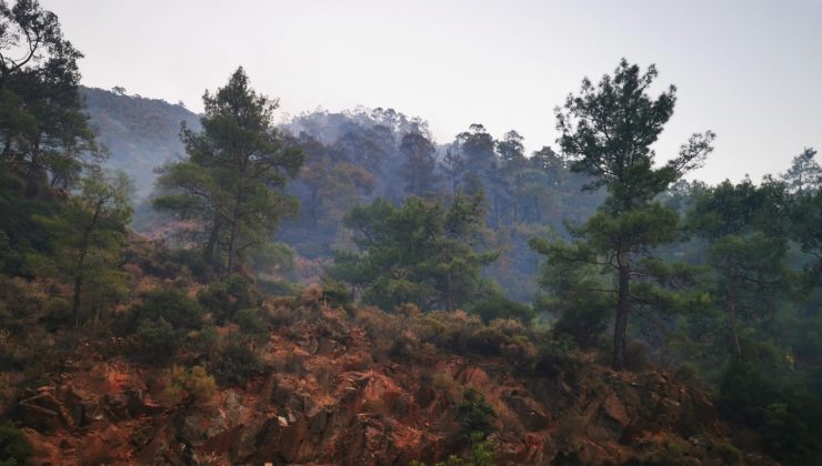 Marmaris’teki orman yangını kontrol altına alındı