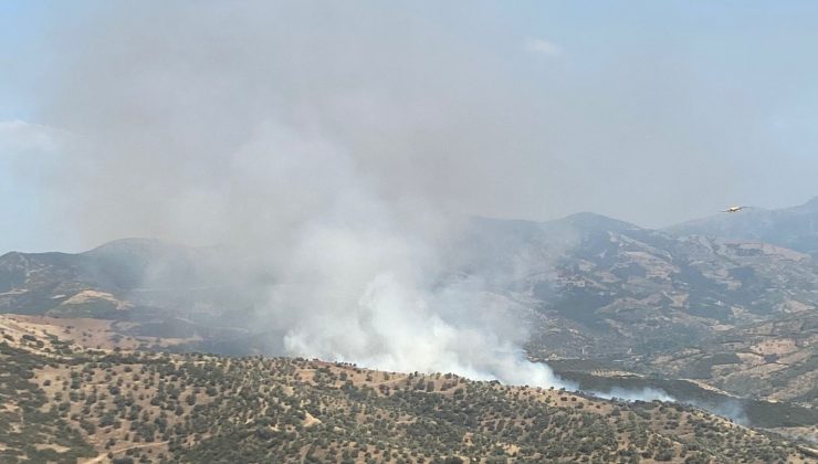 İzmir’de ormanlık alanda yangın kontrol altında