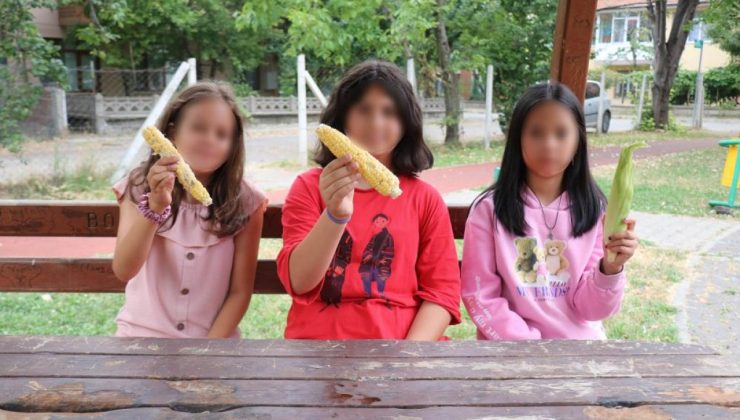 Bolu’da parkta mısır yiyen 3 kız çocuğu, bahçe sahibi tarafından darbedildi