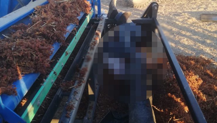 Manisa’da çiftçinin feci ölümü: Üzüm kaldırma makinesinde hayatını kaybetti