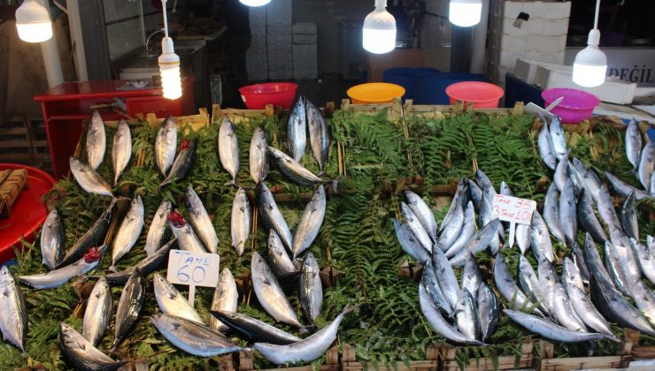 Olumsuz hava şartları balık fiyatlarını etkiledi