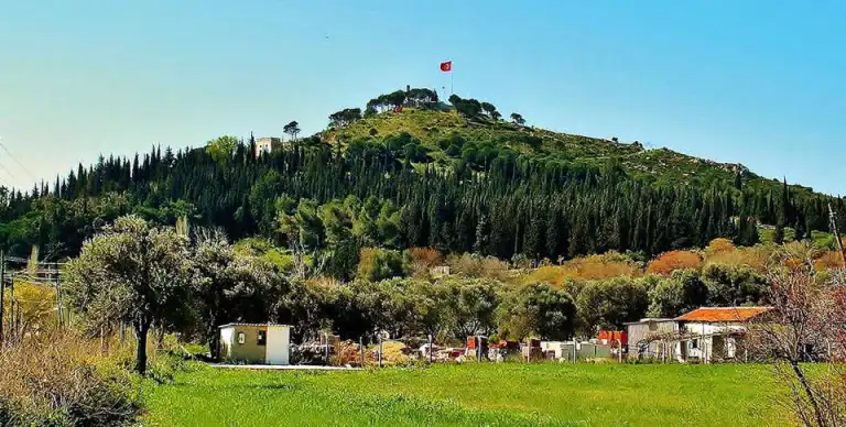 Yildiztepe