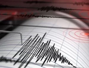 Meksika’da şiddetli deprem! Tsunami uyarısı verildi