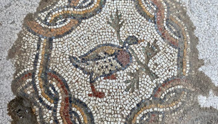 Hadrianaupolis’te yeni mozaikler ortaya çıkarıldı