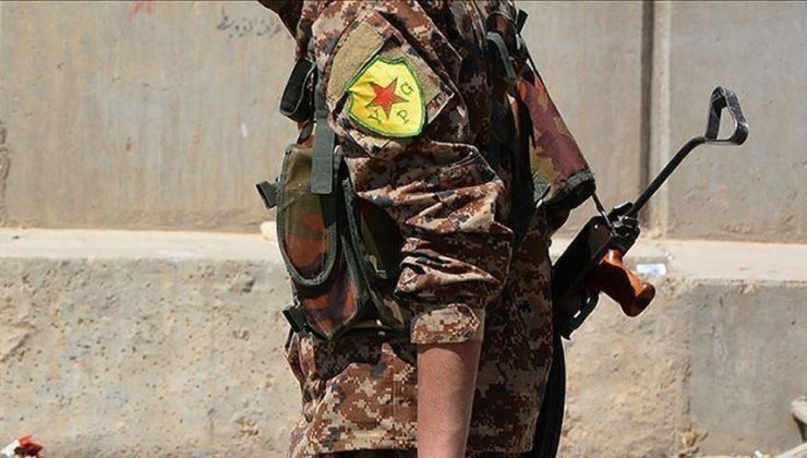 YPG’nin sözde savaşçısı yakalandı