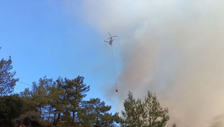 Mersin’de orman yangını: 30 ev tahliye edildi