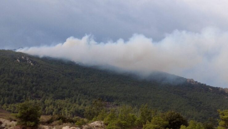 İzmir’de iki ilçede orman yangını!