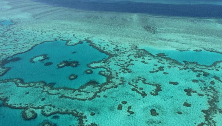 Dünyanın en büyük mercan kayalığı sistemi tehlikede: BM raporuna Avustralya’dan eleştiri