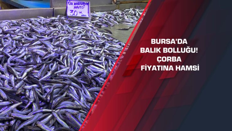 Bursa’da balık bolluğu! Çorba fiyatına hamsi