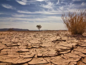 California’daki tarihi kuraklık ABD gıda güvenliğini tehdit ediyor