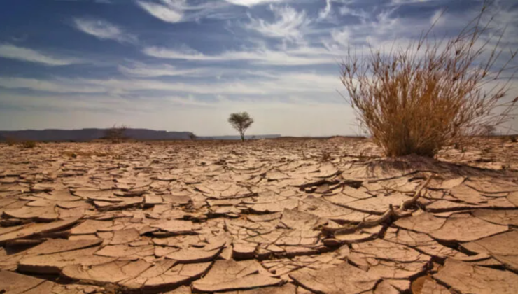 California’daki tarihi kuraklık ABD gıda güvenliğini tehdit ediyor