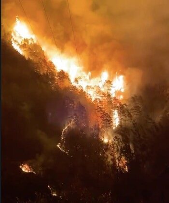 Alanya’da orman yangını! Çok sayıda ekip müdahale ediyor
