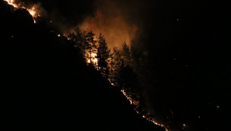 Alanya’daki orman yangını kontrol altına alındı!