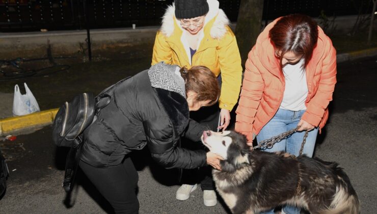 Depremzede köpek Bella İstanbul’da yeni ailesine kavuştu