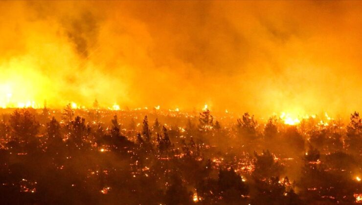 Şili’de orman yangınlarında ölenlerin sayısı 13’e yükseldi