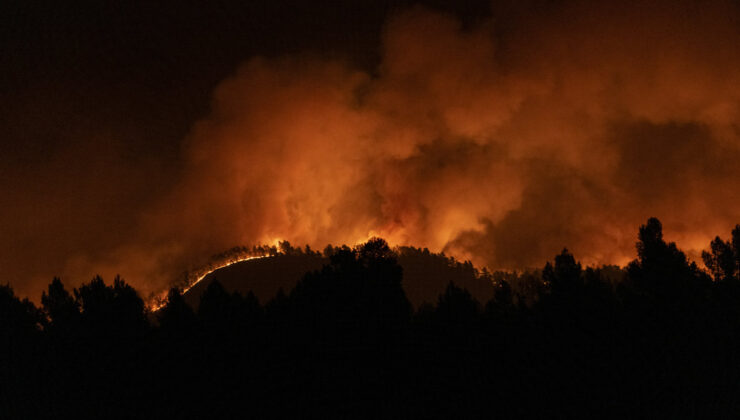 İspanya’da yılın ilk büyük orman yangını 4 bin 600 hektarlık alanı kül etti