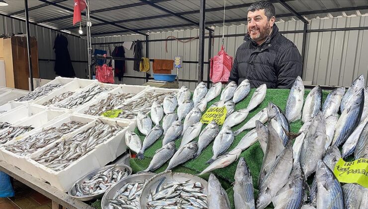 Hamside umduğunu bulamayan Zonguldaklı balıkçıların yüzünü palamut güldürdü