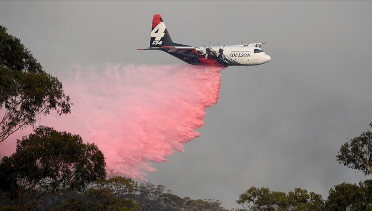 Avustralya’daki yangınlarda 100 bin hektarlık alan zarar gördü