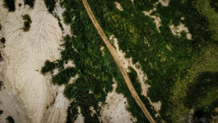 Kolombiya’da son 5 yılda 210 bin 880 hektar ormanlık alan yok oldu