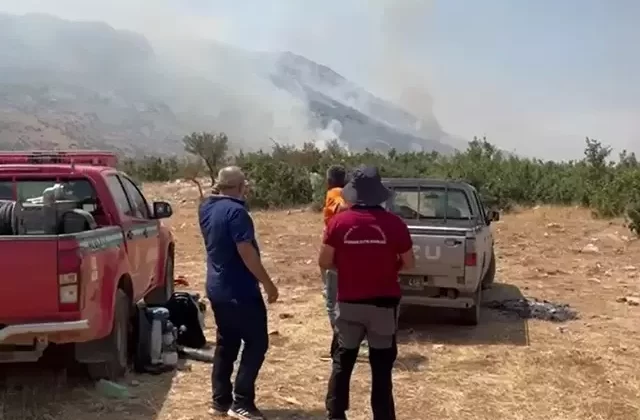 Diyarbakır’da korkutan orman yangını!