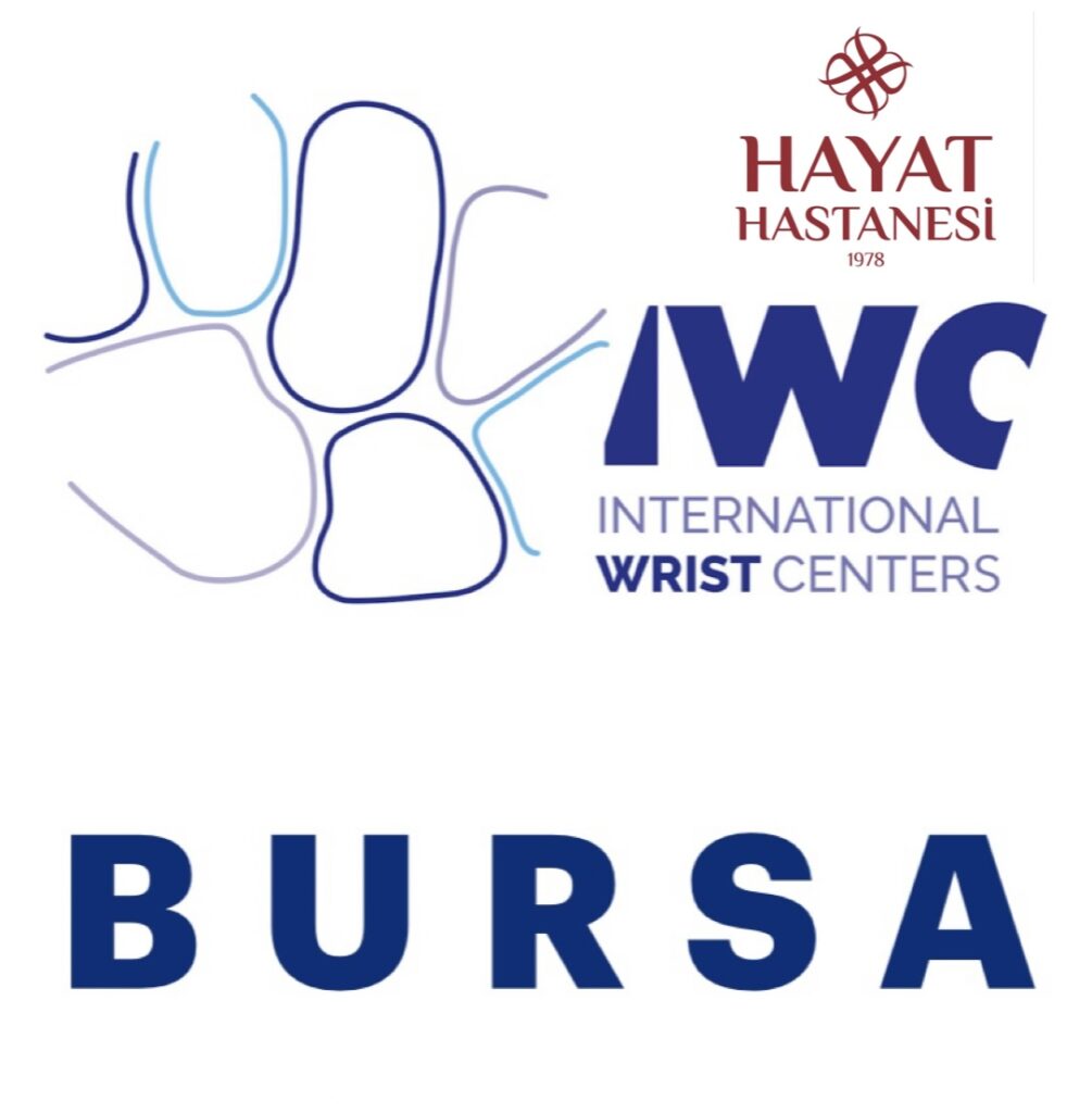 3 IWC BURSA logosu