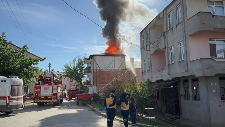 İznik’te korkutan yangın!