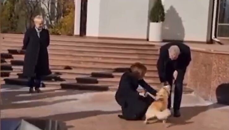 Avusturya Cumhurbaşkanı’nın elini köpek ısırdı!