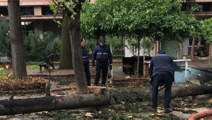 Osmangazi’de lodos çalışması