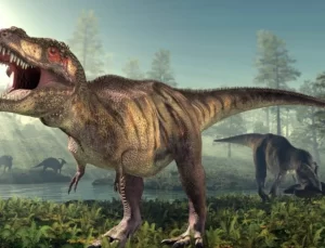 T.Rex’in en yakın akrabasıyla tanışın: 71 milyon yıl önce yaşayan vahşi bir dinozorun kalıntıları keşfedildi