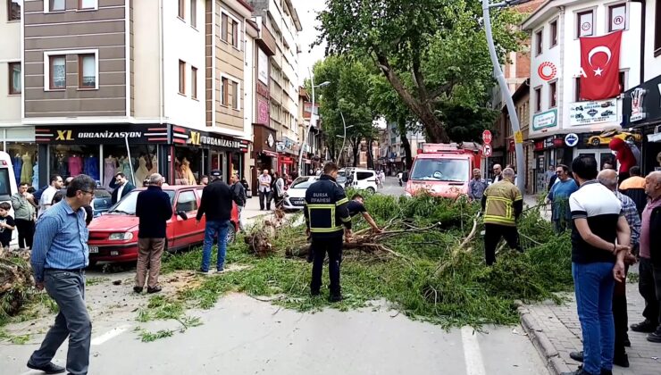 Bursa’da dehşeti yaşadılar! Üzerine ağaç düştü