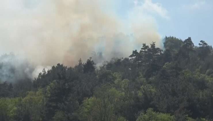 Bursa’da ormanlık alanda çıkan yangın kontrol altına alındı