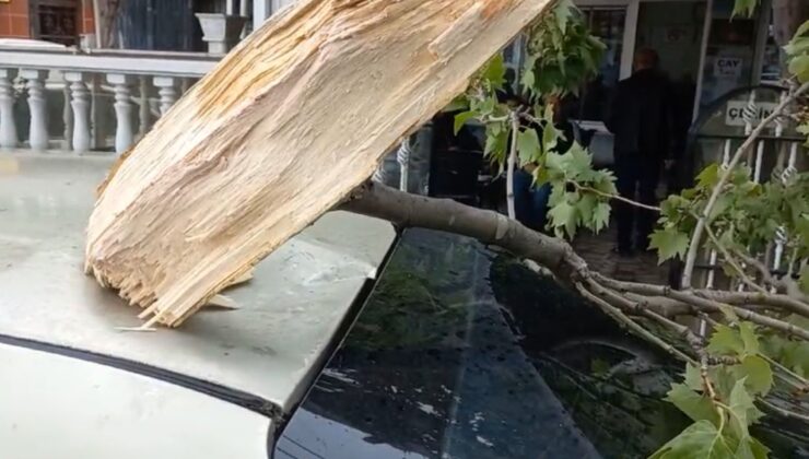 Bursa’da şiddetli rüzgar! Ağaç otomobilin üzerine düştü