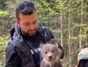 Bursa’da ormandan şehre inen yavru ayı maskot oldu