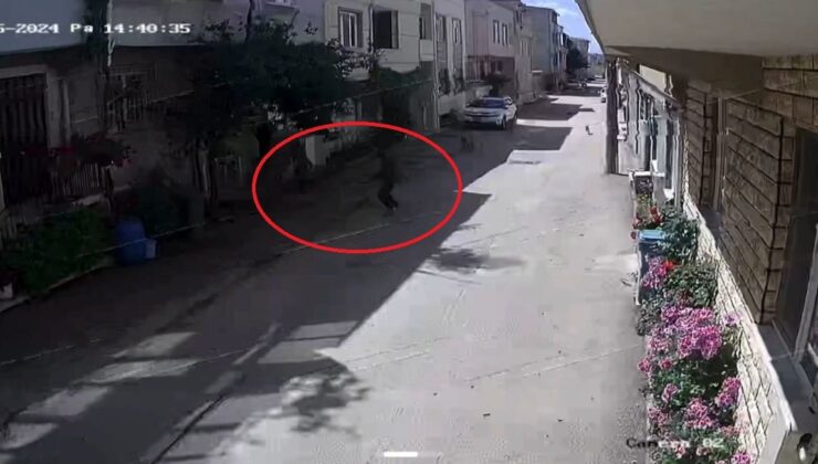 Bursa’da sokak köpekleri 3 çocuğa saldırdı! Olay anı kamerada