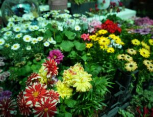 Bursa’da çiçekçilerin Anneler Günü mesaisi başladı
