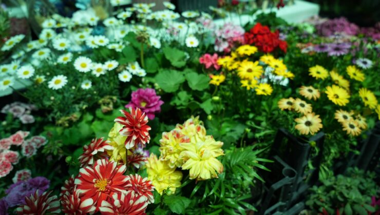 Bursa’da çiçekçilerin Anneler Günü mesaisi başladı