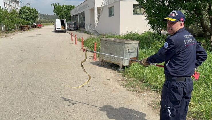 Bursa’da polis arabasına giren yılanı itfaiye ekibi çıkardı