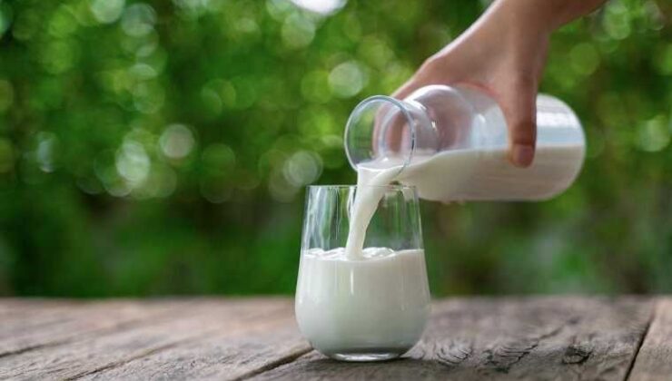 “Süt ve süt ürünlerinin rolü her geçen gün önem kazanıyor”