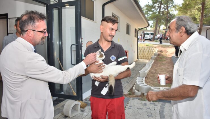 Halk Sağlığı Haftası’nda gündem, ‘Sokak Hayvanları’