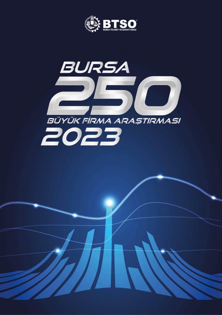 250 Buyuk Firma Arastirmasi